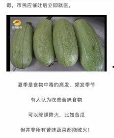 傻白瓜怎么吃最好吃视频,视频教你轻松解锁最佳食用方法