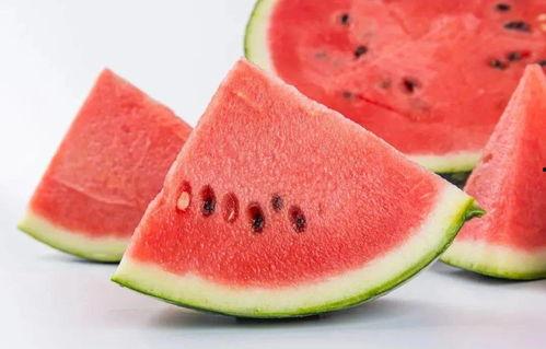 一瓜两吃的西瓜视频,西瓜视频带你解锁夏日美食新境界