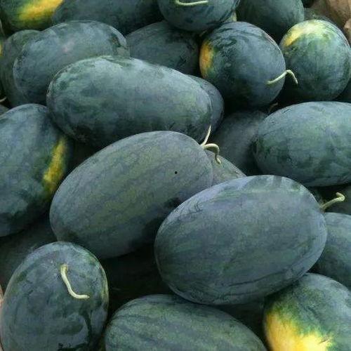 生王瓜怎么吃最好吃视频,视频揭秘最佳食用技巧