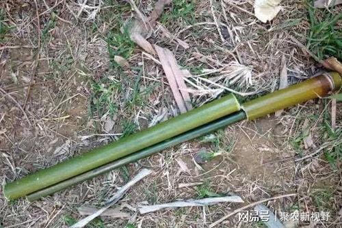 铁锹吃瓜神器怎么用视频,视频教学轻松掌握使用技巧