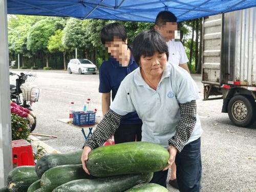 民众吃瓜视频大全最新,揭秘娱乐圈幕后故事