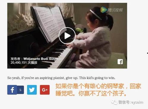 外国法庭吃瓜视频大全集,吃瓜群众视角下的国际法庭大揭秘