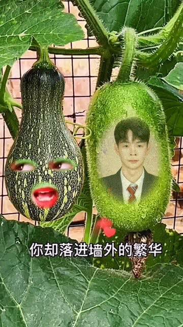 吃瓜小孩子特效视频大全,趣味十足！吃瓜小孩子的特效视频大盘点