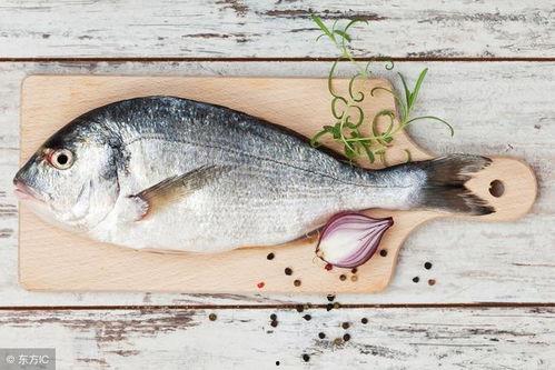 吃八瓜鱼脚视频,一场味蕾的奇幻之旅