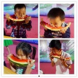 围观吃瓜搞笑视频大全播放