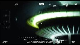 吃瓜狗子被套懵了视频,萌态百出引网友爆笑