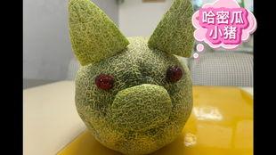 宠物小猪吃哈密瓜视频,宠物小猪品尝哈密瓜欢乐时光