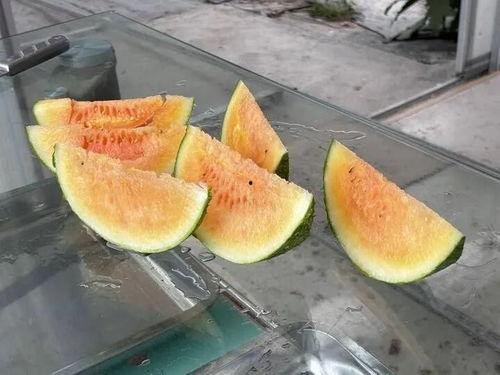 小雨农村记录吃瓜视频,小雨的乡村美食探秘之旅