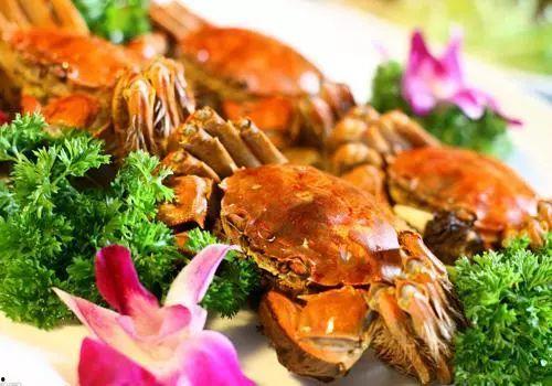 尼加拉瓜吃大螃蟹视频大全,视频大全带你领略异国美食风情