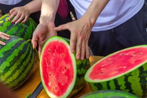 南京交通大学吃瓜视频,趣味视频曝光引热议