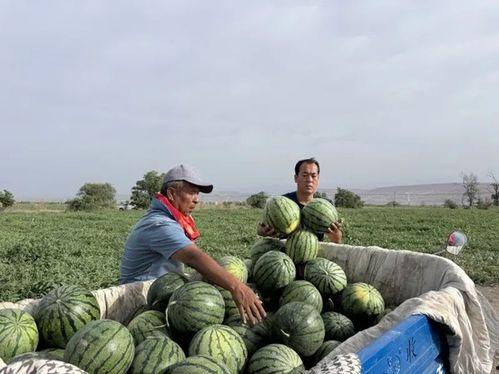 莱芜区吃瓜视频公司地址,地址曝光，带你走进幕后制作基地”