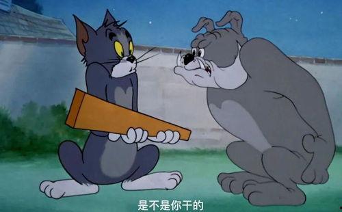 摄影师杰瑞吃瓜视频