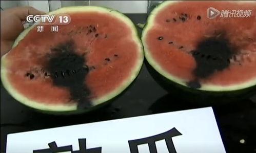 安徽阜阳太和吃瓜视频,阜阳美食文化新风尚