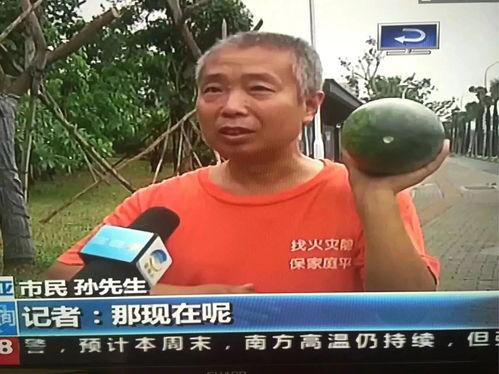 打吃瓜群众视频真实事件,揭秘打吃瓜群众视频背后的真实事件