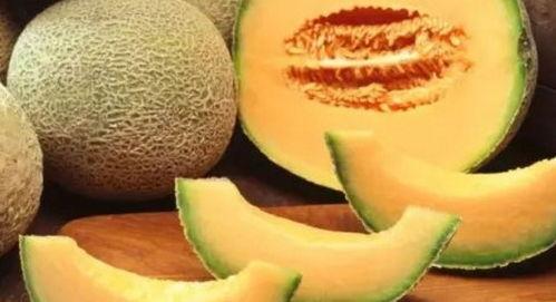 趣味吃哈密瓜的故事视频,一场趣味盎然的美食探险之旅
