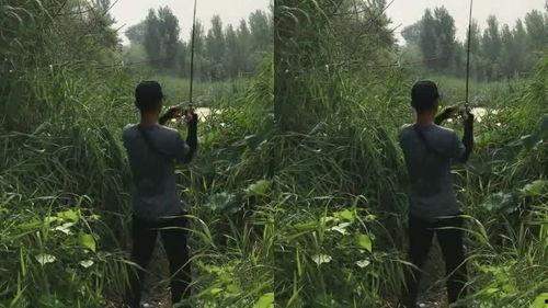 一只鱼视频吃瓜群众,吃瓜群众眼中的趣味瞬间