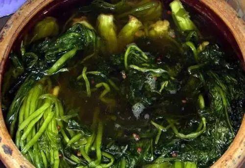 瓜尖能腌咸菜吃吗视频,传统美味新尝试