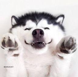 吃瓜群众能看吗视频大全,热门视频背后的故事与真相