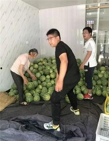 常州湖塘吃瓜事件视频最新,一场引发热议的街头冲突瞬间