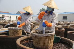 超市买瓜吃视频,超市买瓜吃，甜蜜生活瞬间记录