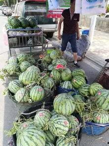 北海康养吃瓜事件视频,一场引发热议的养老院风波