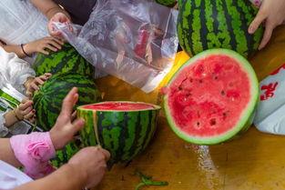 吃瓜福利干货视频,视频带你轻松解锁美食世界