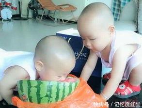 双胞胎儿子吃瓜视频播放,视频播放量飙升引网友热议