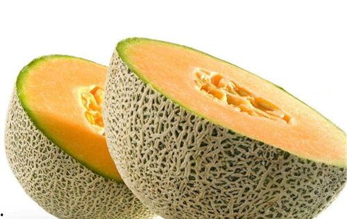 琦宝夫妇吃哈密瓜视频大全,哈密瓜视频大盘点