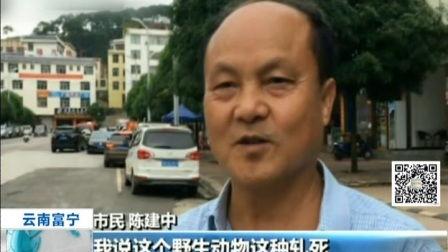 富宁最新吃瓜事件新闻视频,揭秘背后真相，视频曝光引热议