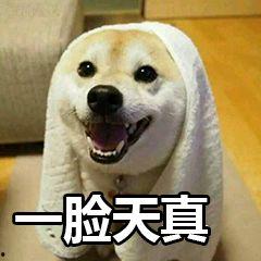 情侣吵架别人吃瓜段子视频,围观群众笑翻，吃瓜段子视频走红网络