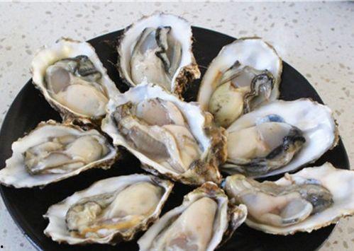 大瓜吃生蚝视频大全,生蚝视频大全，尽享美味瞬间