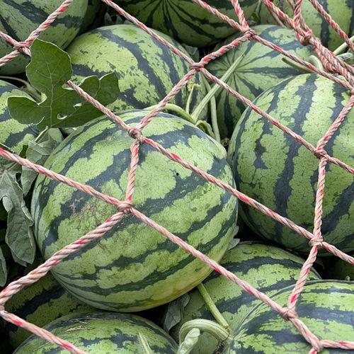 高质量网红吃瓜视频大全,揭秘热门网红吃瓜视频背后的精彩瞬间