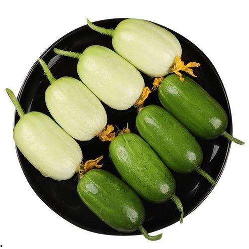 马莲瓜怎么吃最好吃视频,视频教你如何烹饪最佳口感